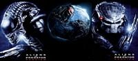 pic for 720x320 alliens vs predator